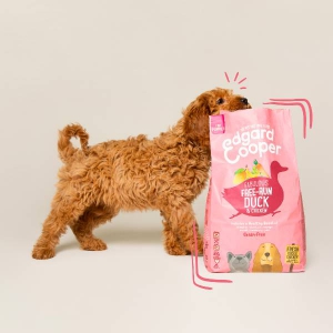 Foto Edgard & Cooper Puppy Anatra e Pollo Ruspanti Freschi con Banana Verde, Mango, Carota e Piselli da 12 Kg
