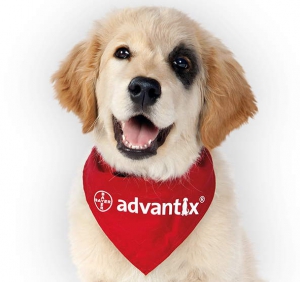 Foto Bayer - Advantix per Cani di 25-40 Kg da 4 x 4 ml