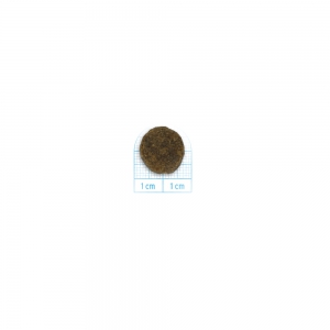 Foto Forza 10 - Mono Diet Dog Medium/Maxi Adult Sensitive Digestion al Pesce da 10 Kg