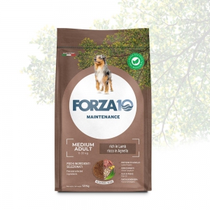 Foto Forza 10 - Maintenance Adult Medium con Agnello da 12 Kg
