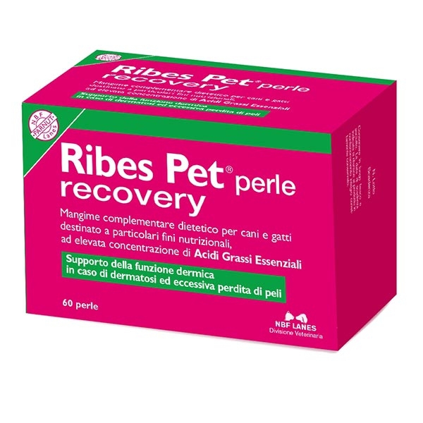 Foto NBF Lanes - Ribes Pet da 60 Perle